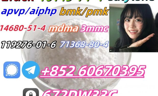 China factory supply Bmk/Pmk low price