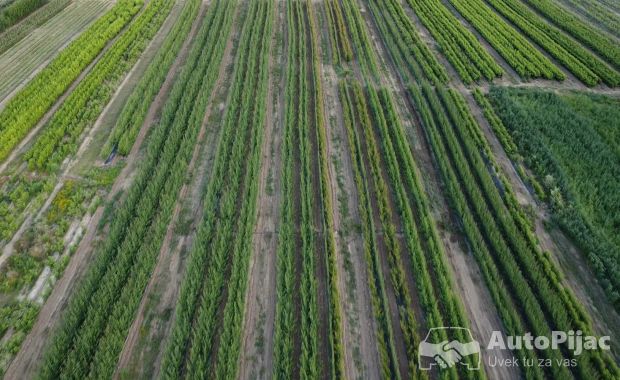 Prestiž Plant Nursery